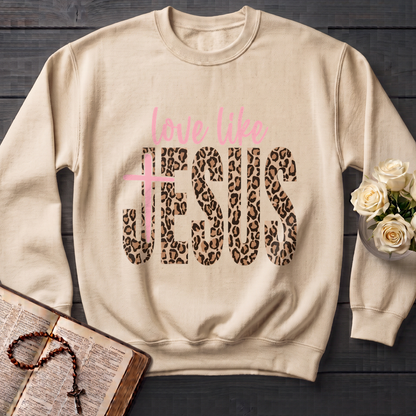 Love Like Jesus 14