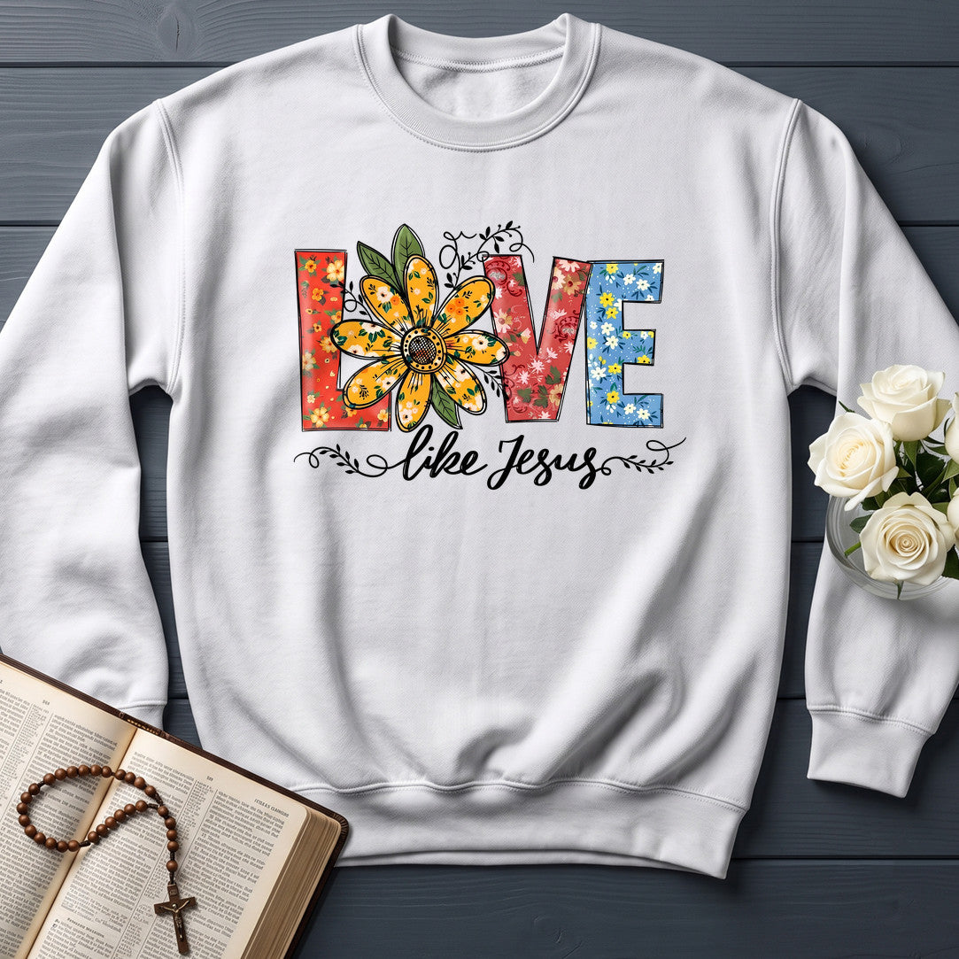 Love Like Jesus 24