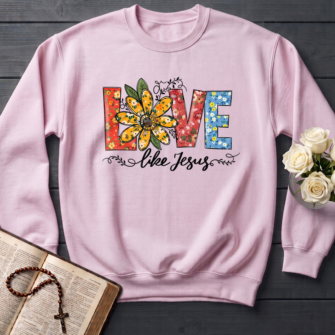 Love Like Jesus 24