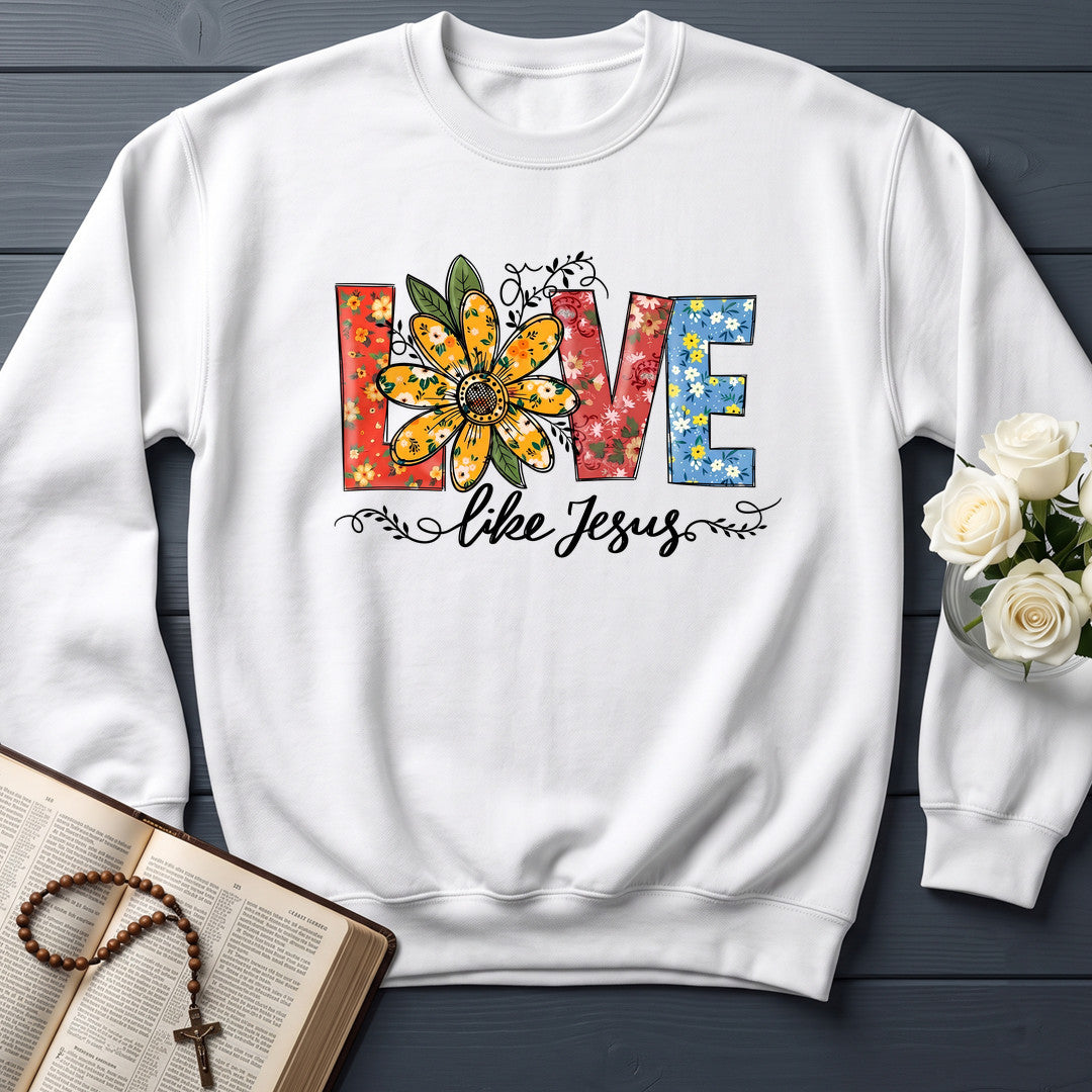 Love Like Jesus 24