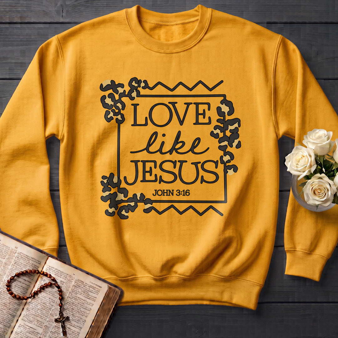 Love Like Jesus John 3.16 01