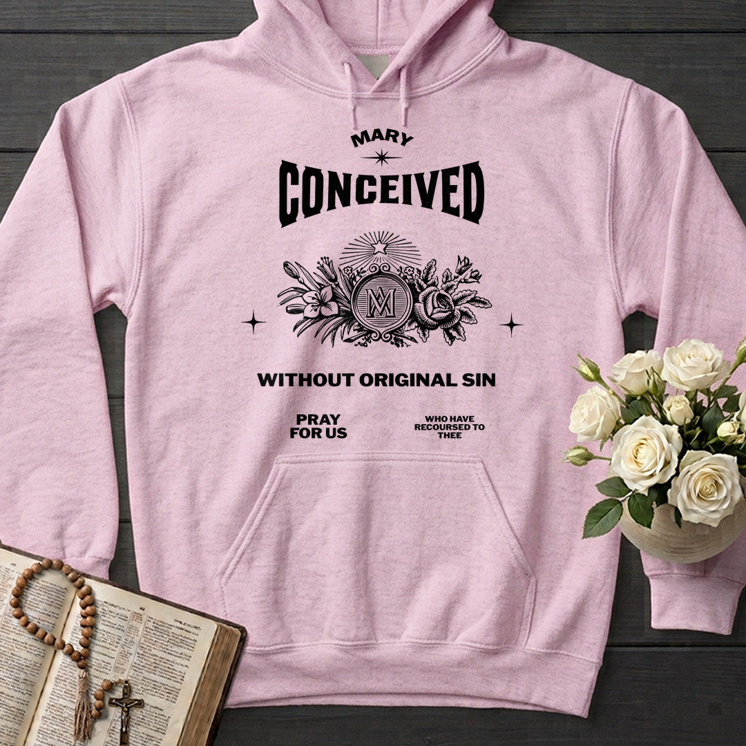 Mary Conceived Without Original Sin Pray For Us Who Have Recoursed To Thee 01