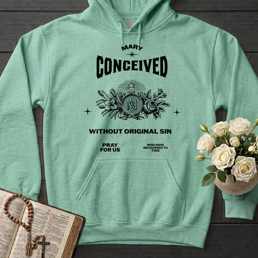 Mary Conceived Without Original Sin Pray For Us Who Have Recoursed To Thee 01