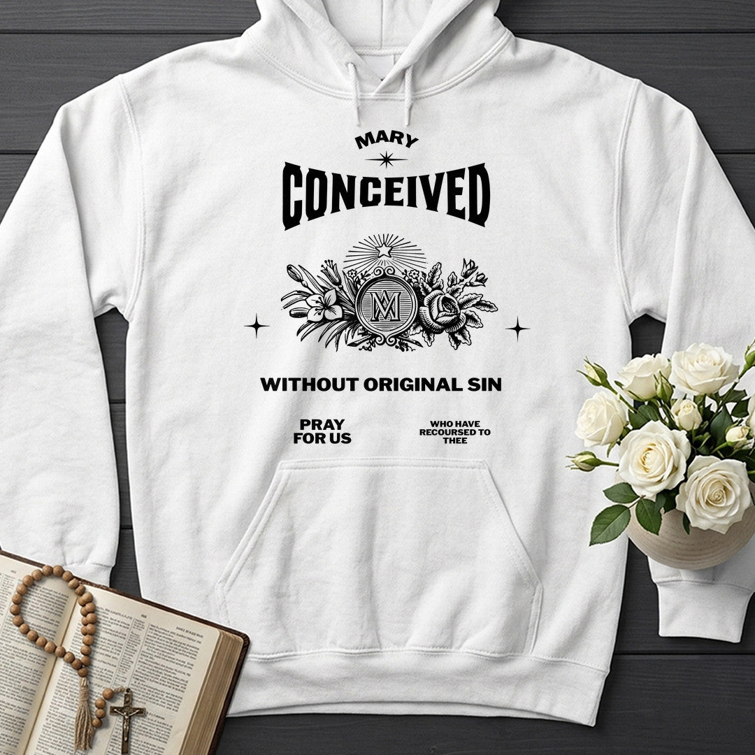 Mary Conceived Without Original Sin Pray For Us Who Have Recoursed To Thee 01