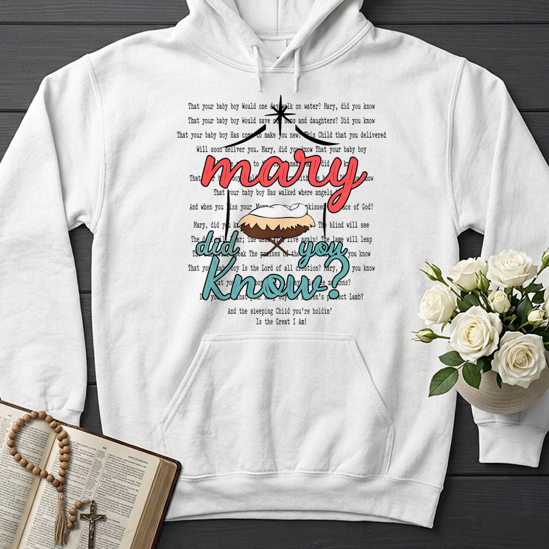 Mary Did You Know 04