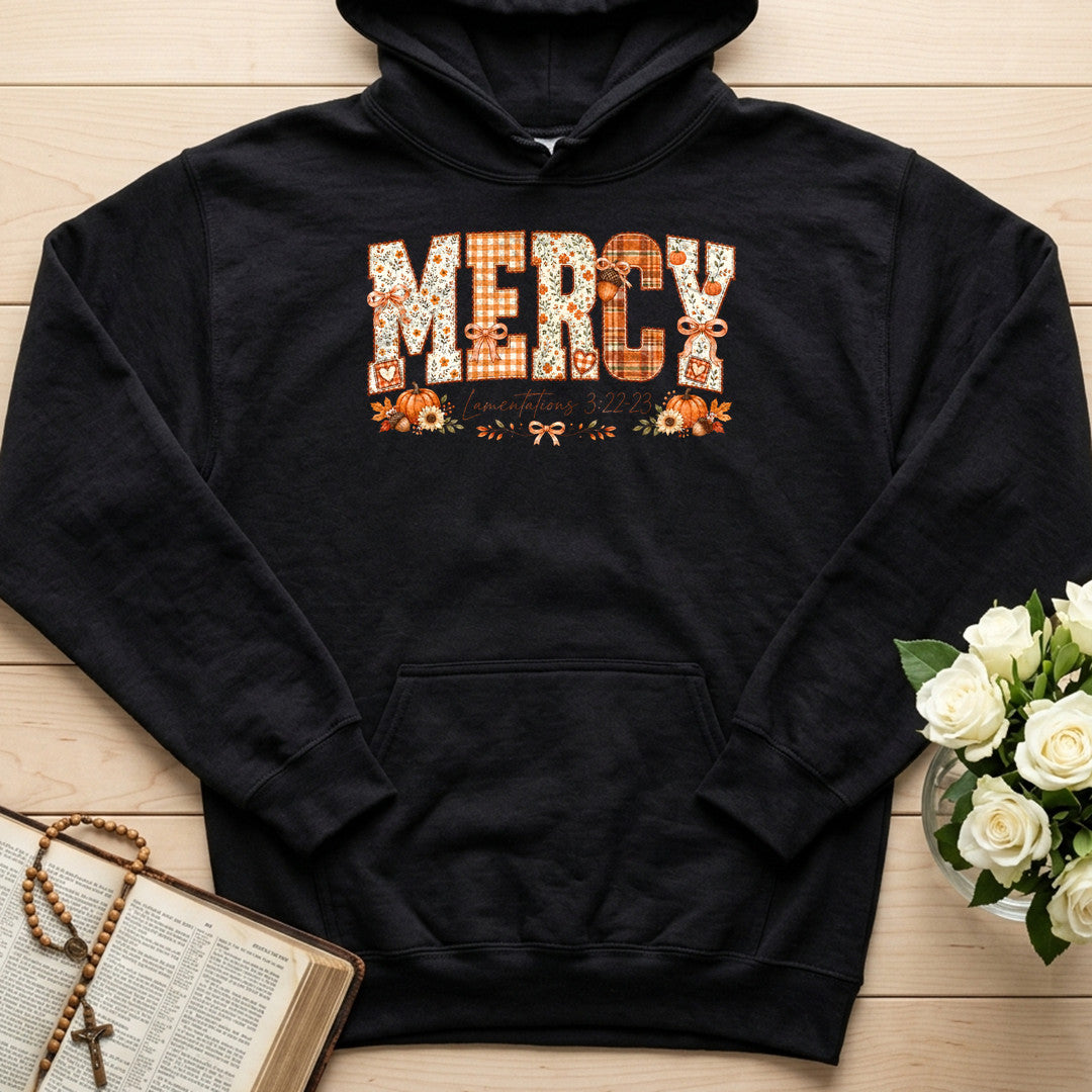 Mercy Lamentations 3.22-23 01