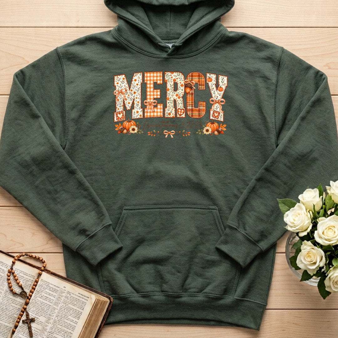 Mercy Lamentations 3.22-23 01