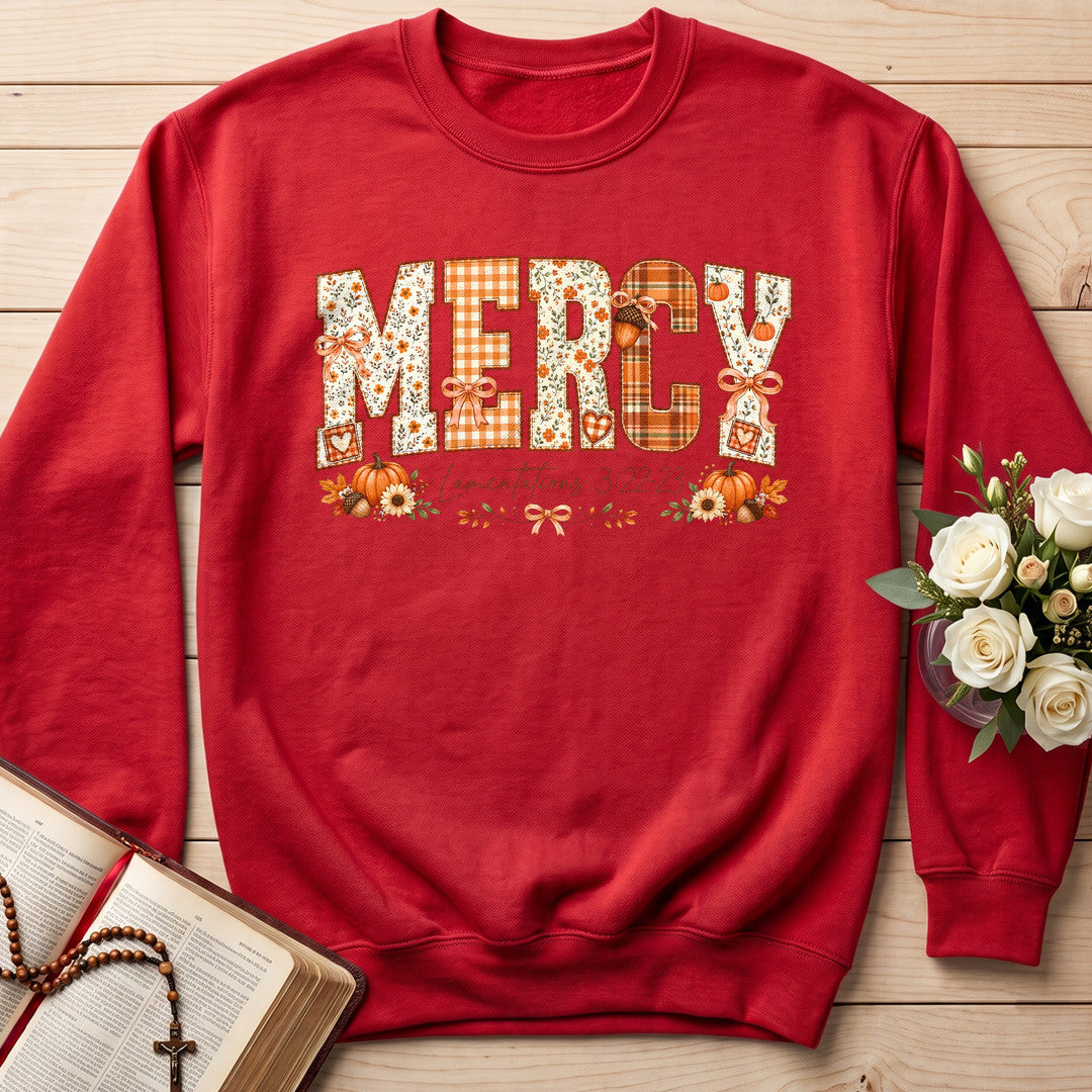 Mercy Lamentations 3.22-23 01