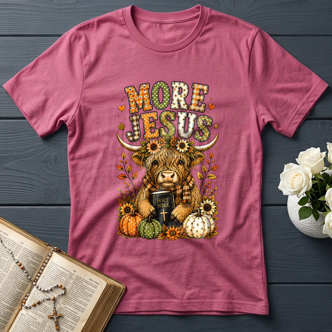 More Jesus Holy Bible 01