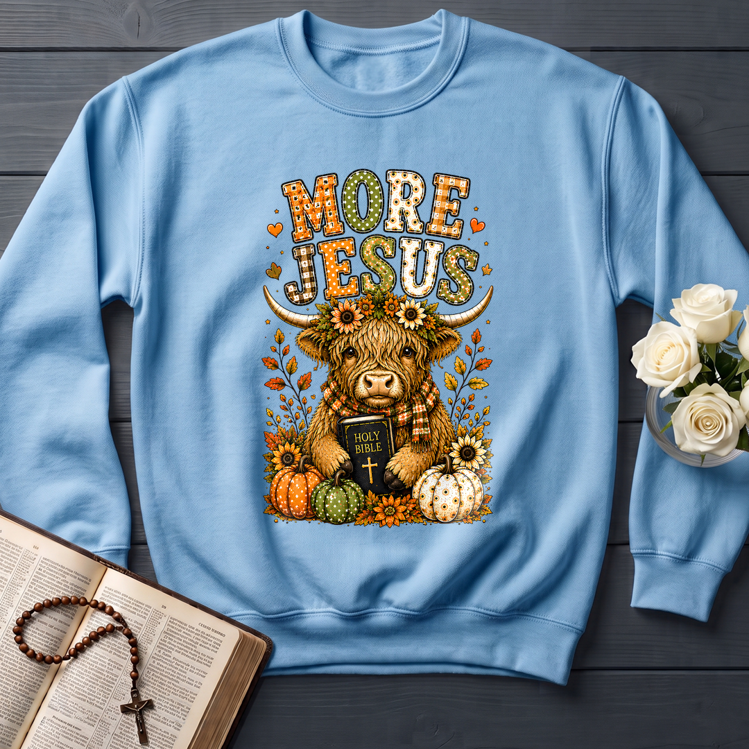 More Jesus Holy Bible 01