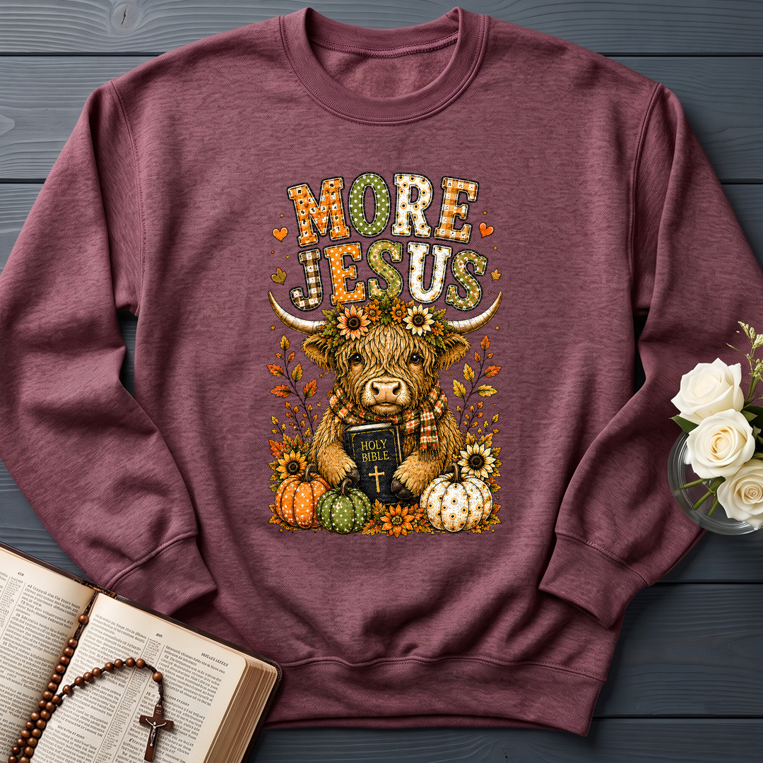 More Jesus Holy Bible 01