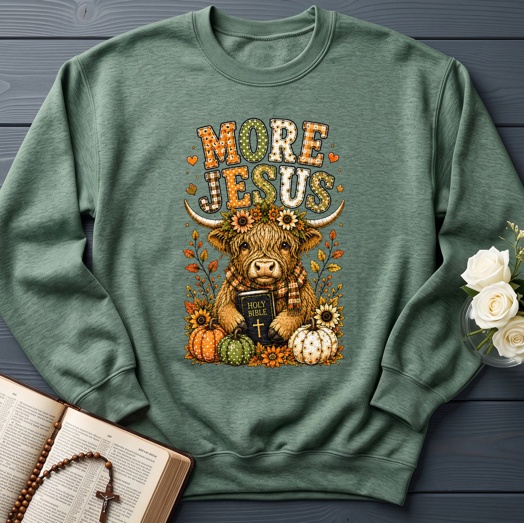 More Jesus Holy Bible 01