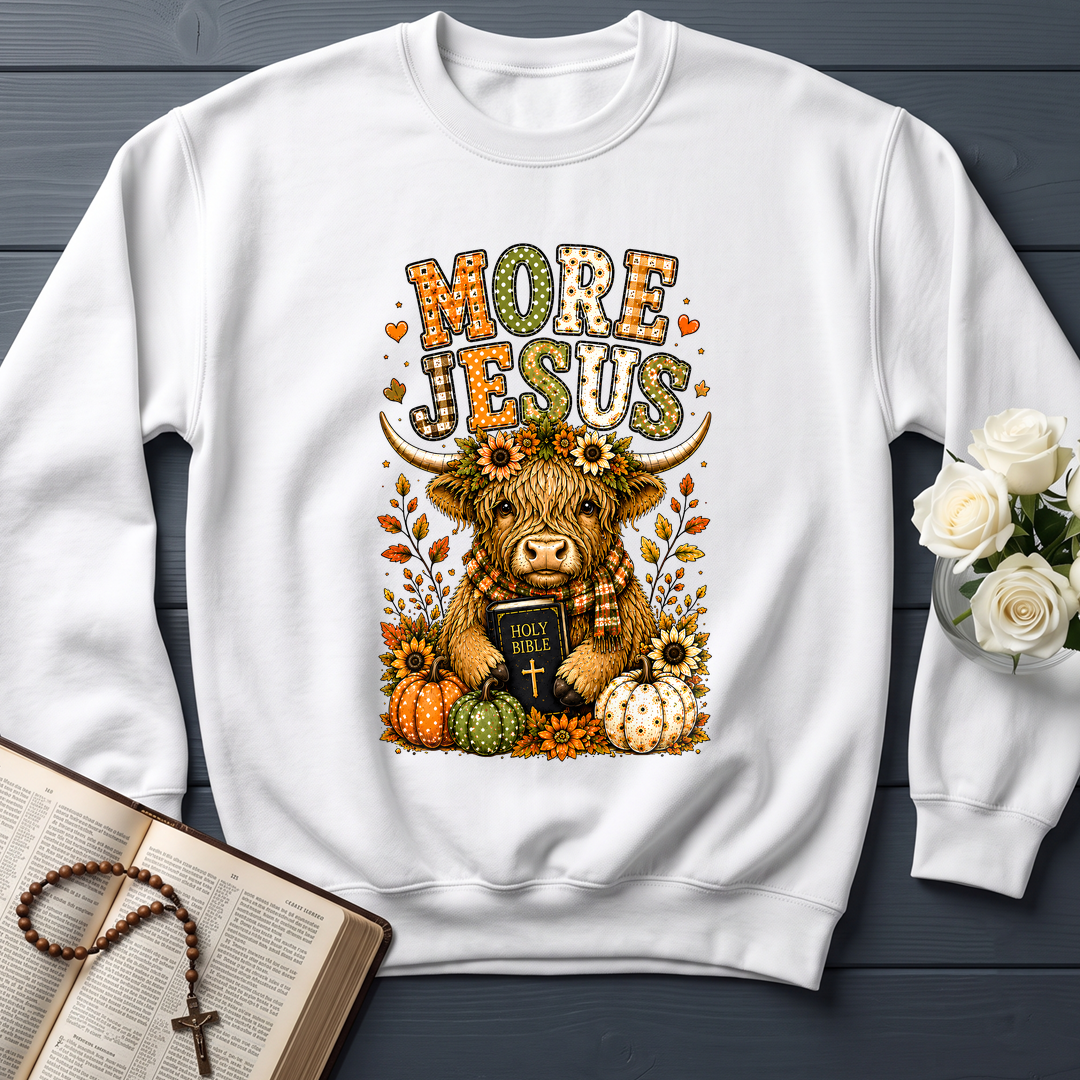 More Jesus Holy Bible 01