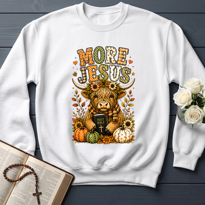 More Jesus Holy Bible 01