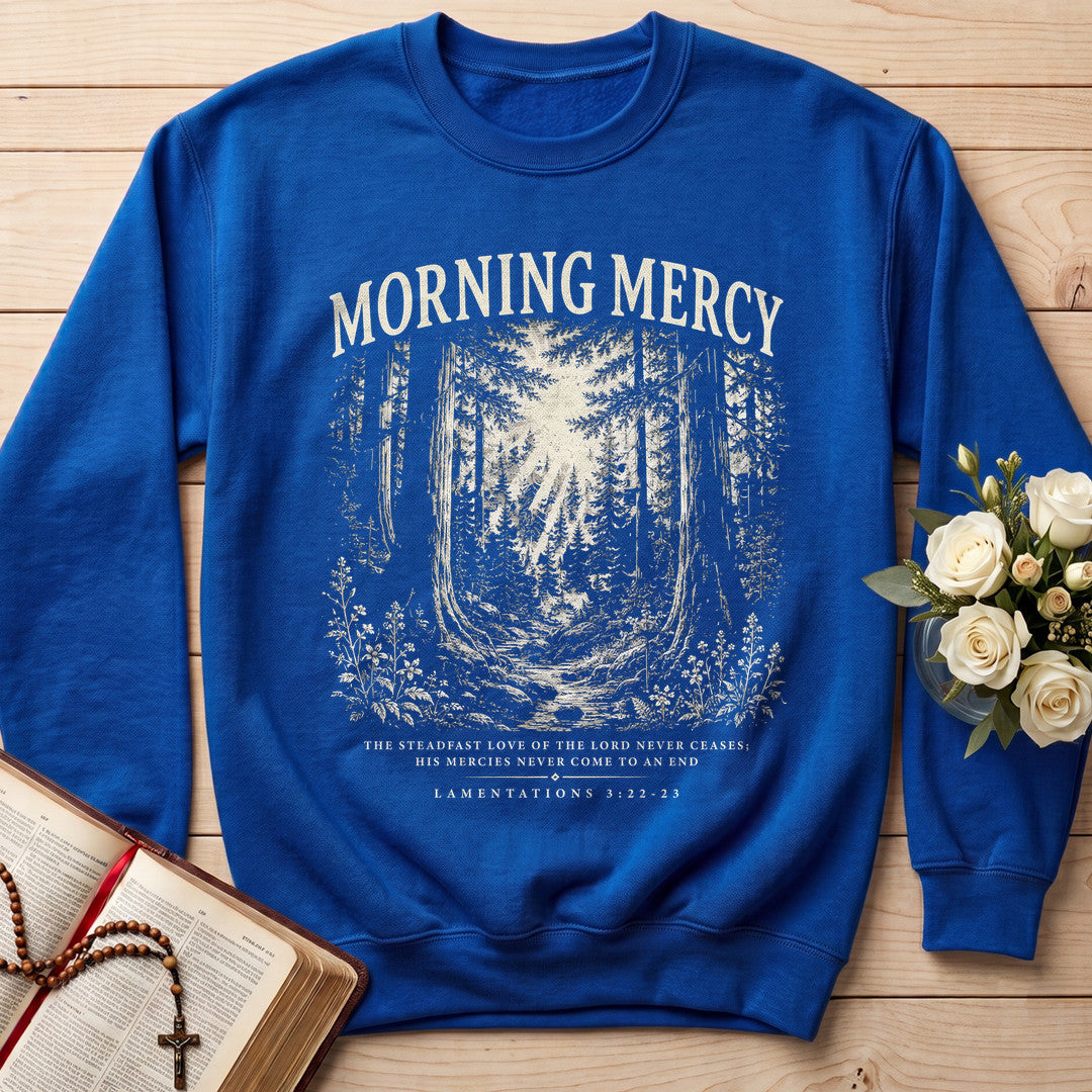 Morning Mercy Lamentations 3.22-23 01