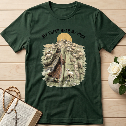 My Sheep Hear My Voice John 10.27 01