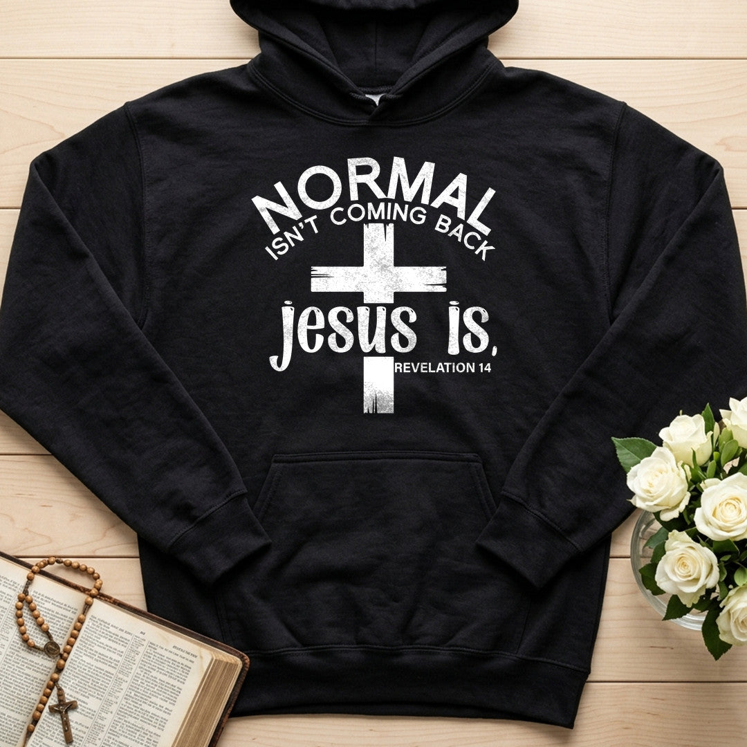 Normal Isn't Coming Back Jesus Is Revelation 14 02