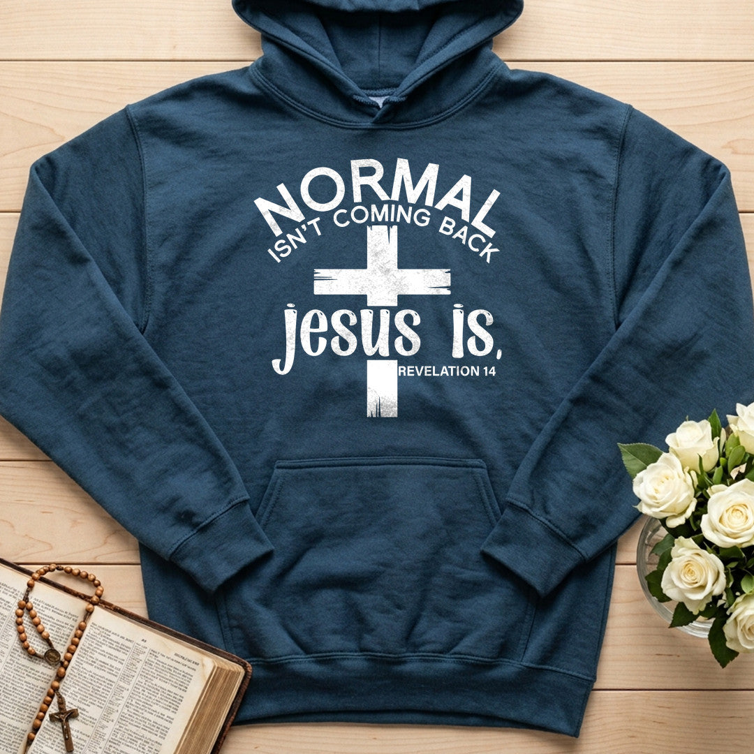 Normal Isn't Coming Back Jesus Is Revelation 14 02