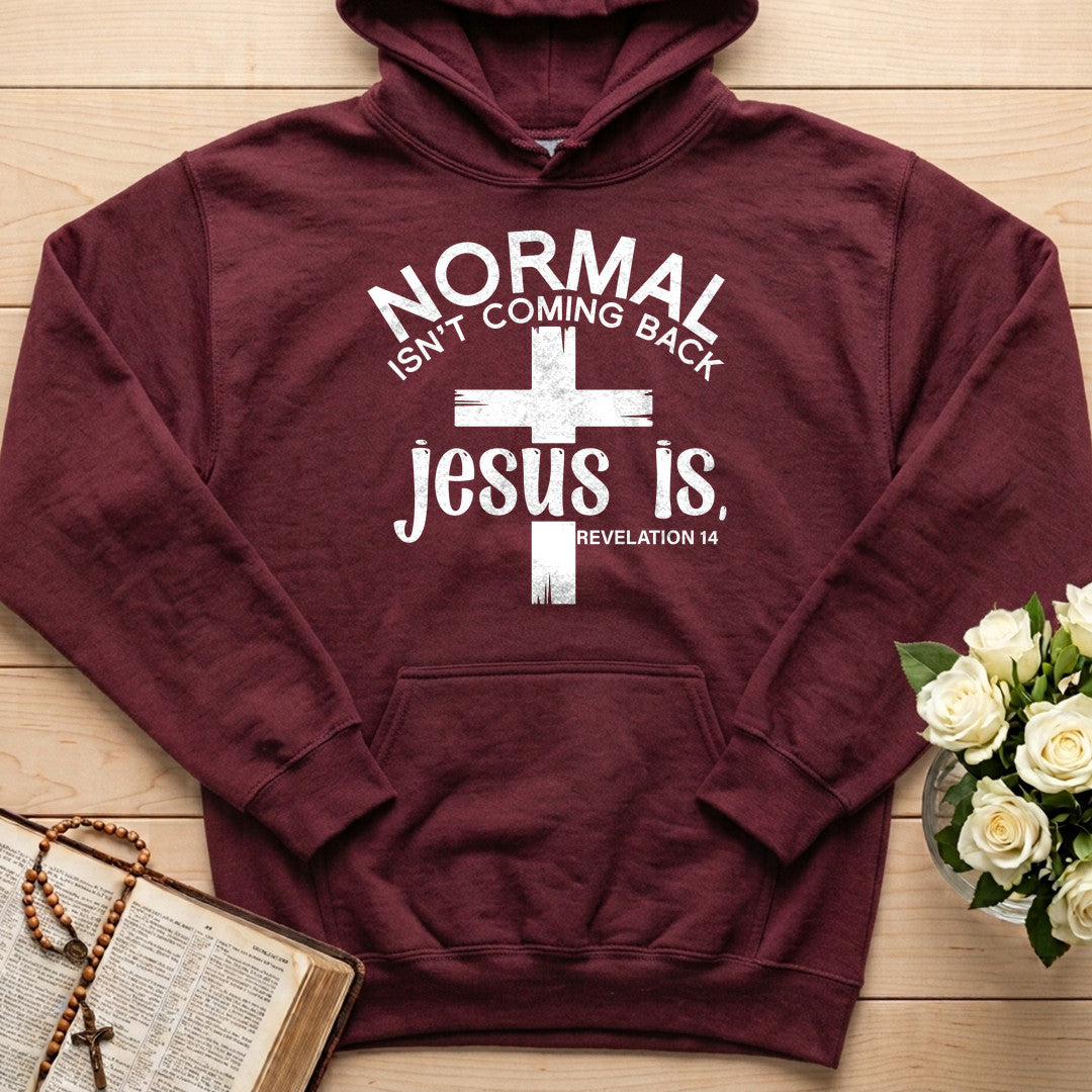 Normal Isn't Coming Back Jesus Is Revelation 14 02