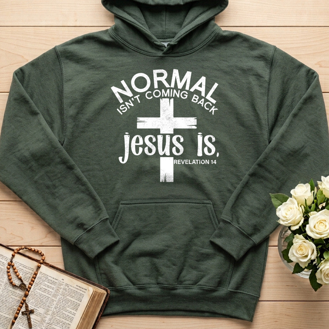 Normal Isn't Coming Back Jesus Is Revelation 14 02