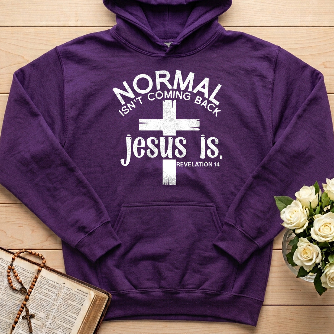 Normal Isn't Coming Back Jesus Is Revelation 14 02