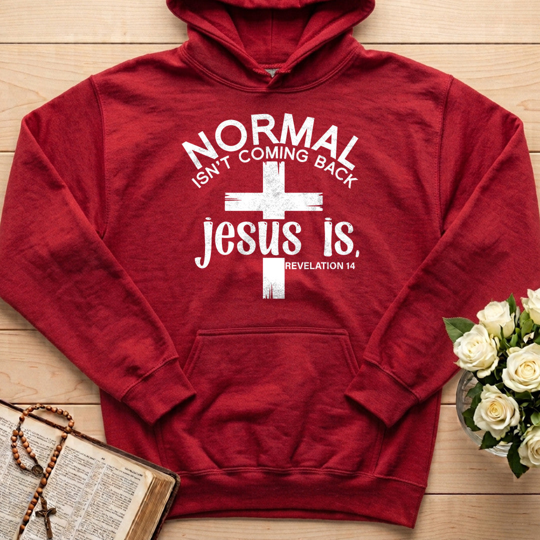 Normal Isn't Coming Back Jesus Is Revelation 14 02