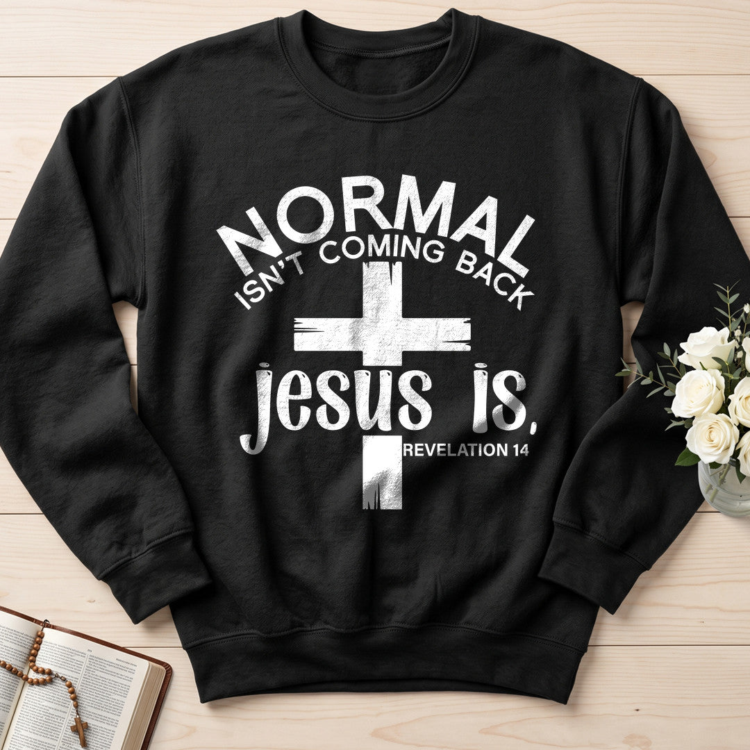 Normal Isn't Coming Back Jesus Is Revelation 14 02