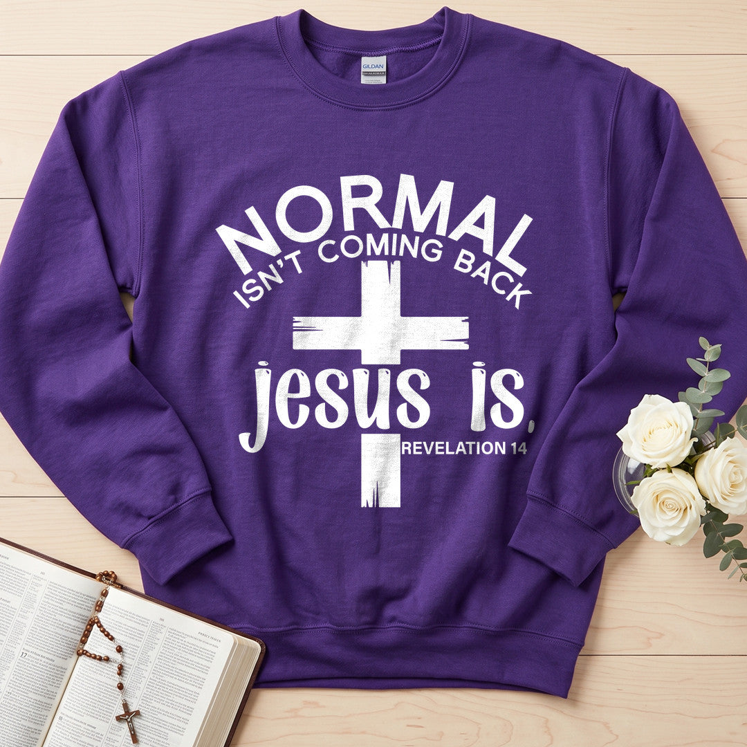 Normal Isn't Coming Back Jesus Is Revelation 14 02