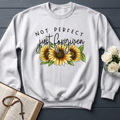 Not Perfect Just Forgiven 05