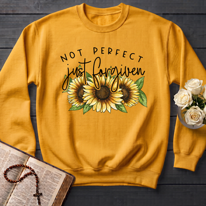 Not Perfect Just Forgiven 05