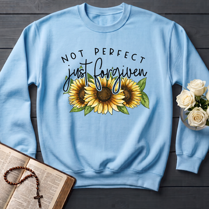 Not Perfect Just Forgiven 05