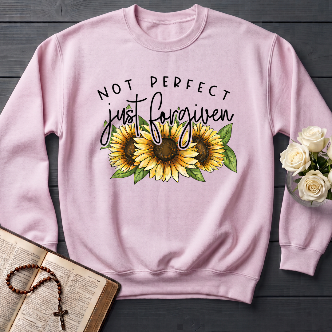 Not Perfect Just Forgiven 05