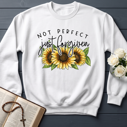 Not Perfect Just Forgiven 05