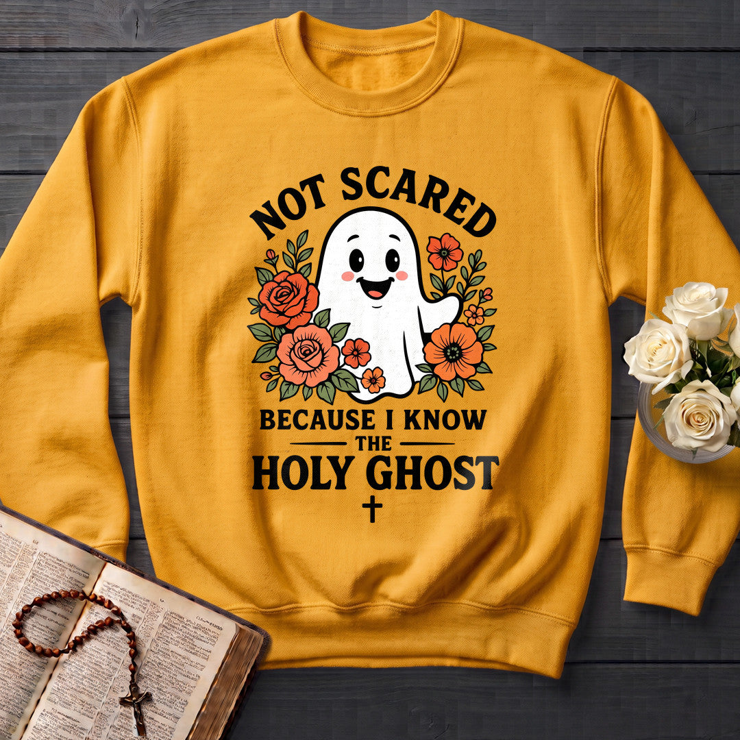 Not Scared Because I Know The Holy Ghost 01