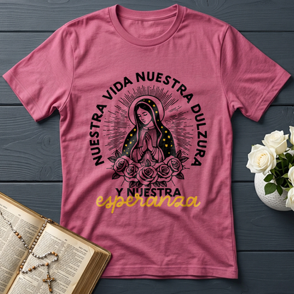 Nuestra Vida Nuestra Dulzura Y Nuestra Esperanza 01