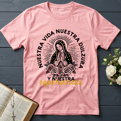 Nuestra Vida Nuestra Dulzura Y Nuestra Esperanza 01
