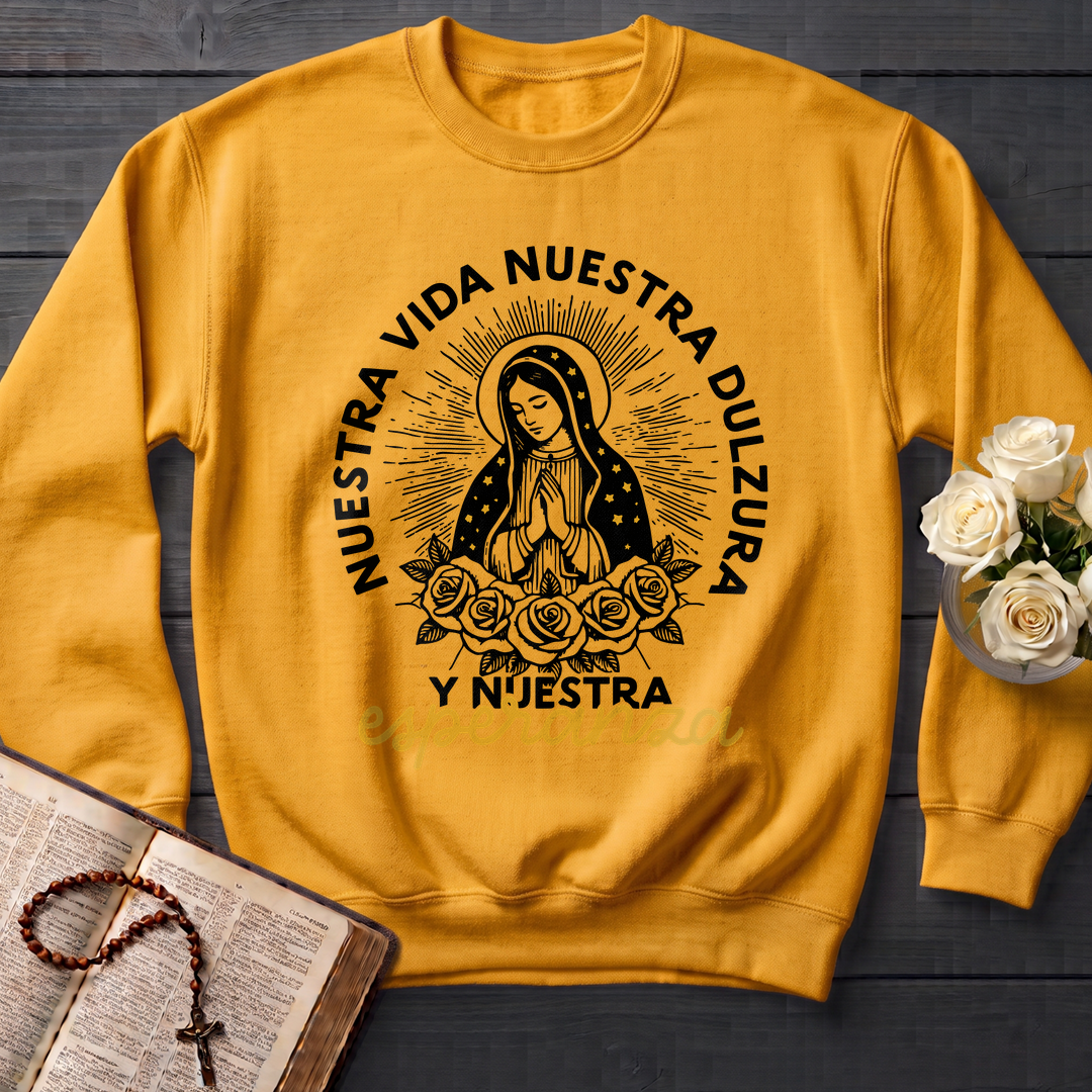 Nuestra Vida Nuestra Dulzura Y Nuestra Esperanza 01