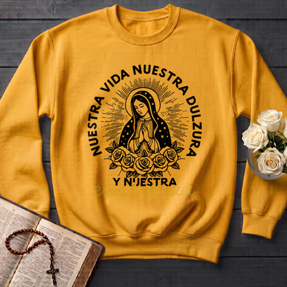 Nuestra Vida Nuestra Dulzura Y Nuestra Esperanza 01