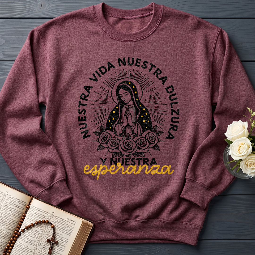 Nuestra Vida Nuestra Dulzura Y Nuestra Esperanza 01