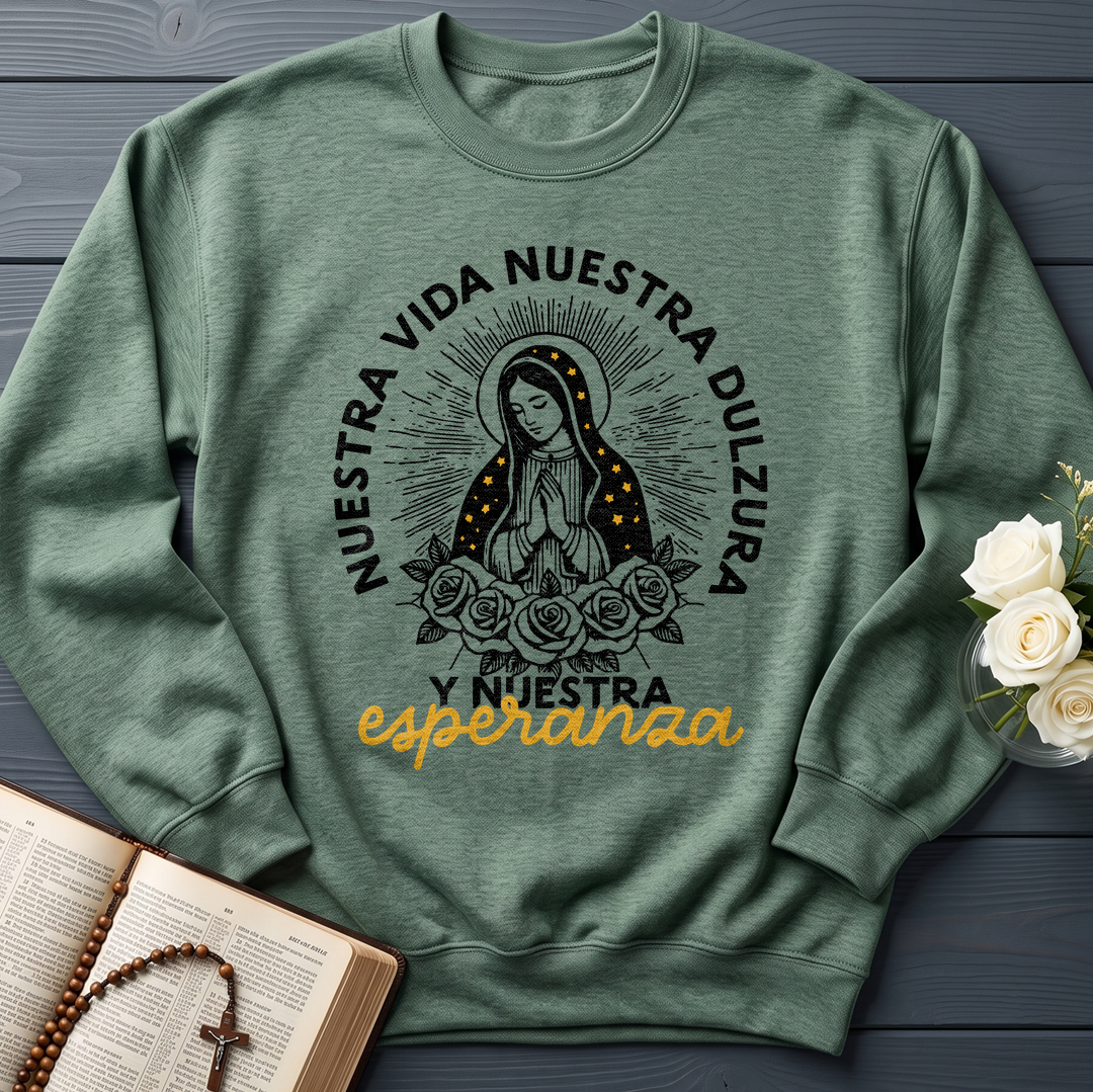 Nuestra Vida Nuestra Dulzura Y Nuestra Esperanza 01