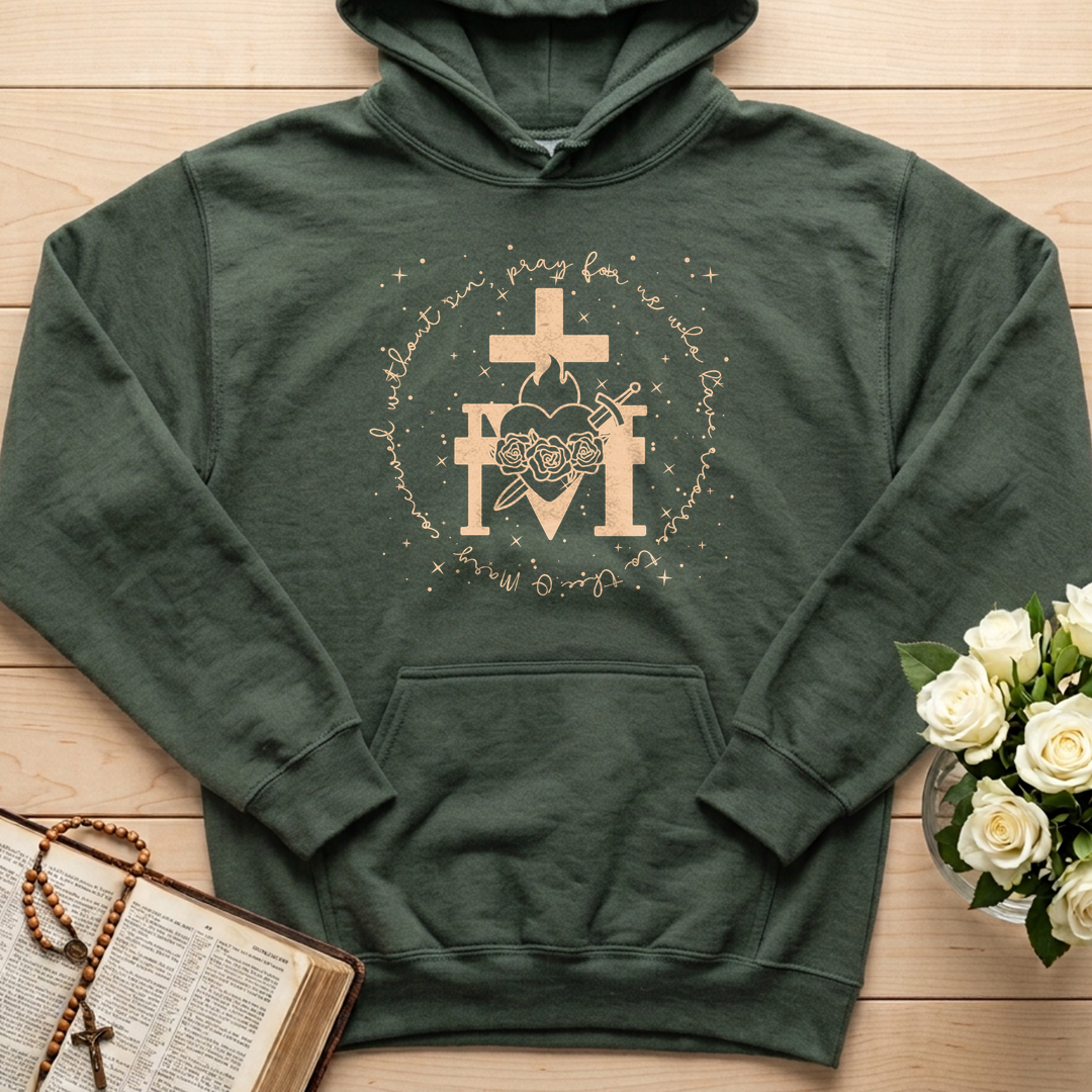 O Mary Conceived Without Sin Pray For Us Who Have Recourse To Thee 11