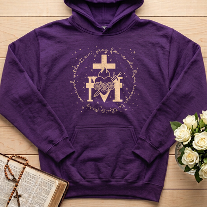 O Mary Conceived Without Sin Pray For Us Who Have Recourse To Thee 11