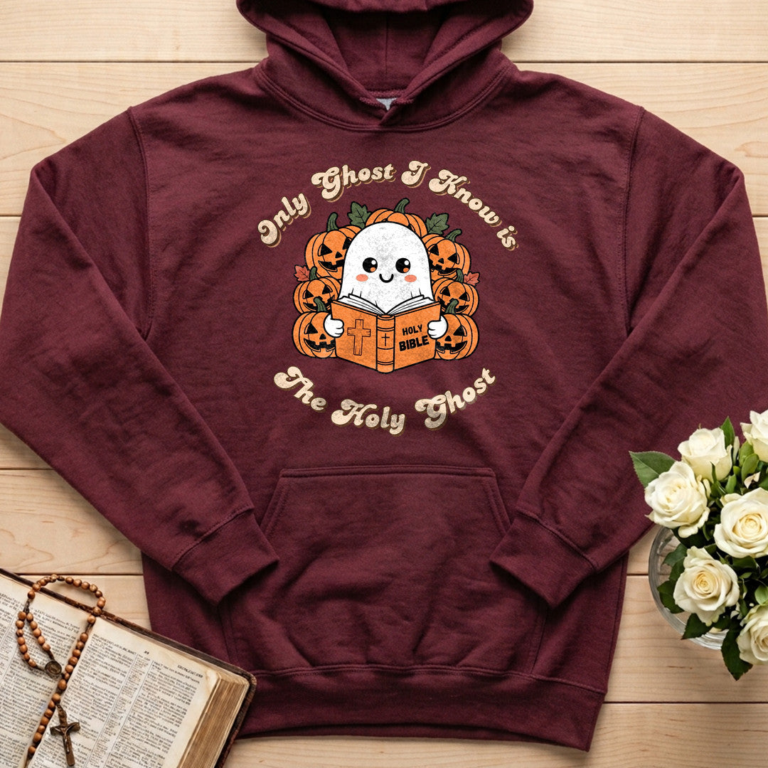 Only Ghost I Know Is The Holy Ghost 01