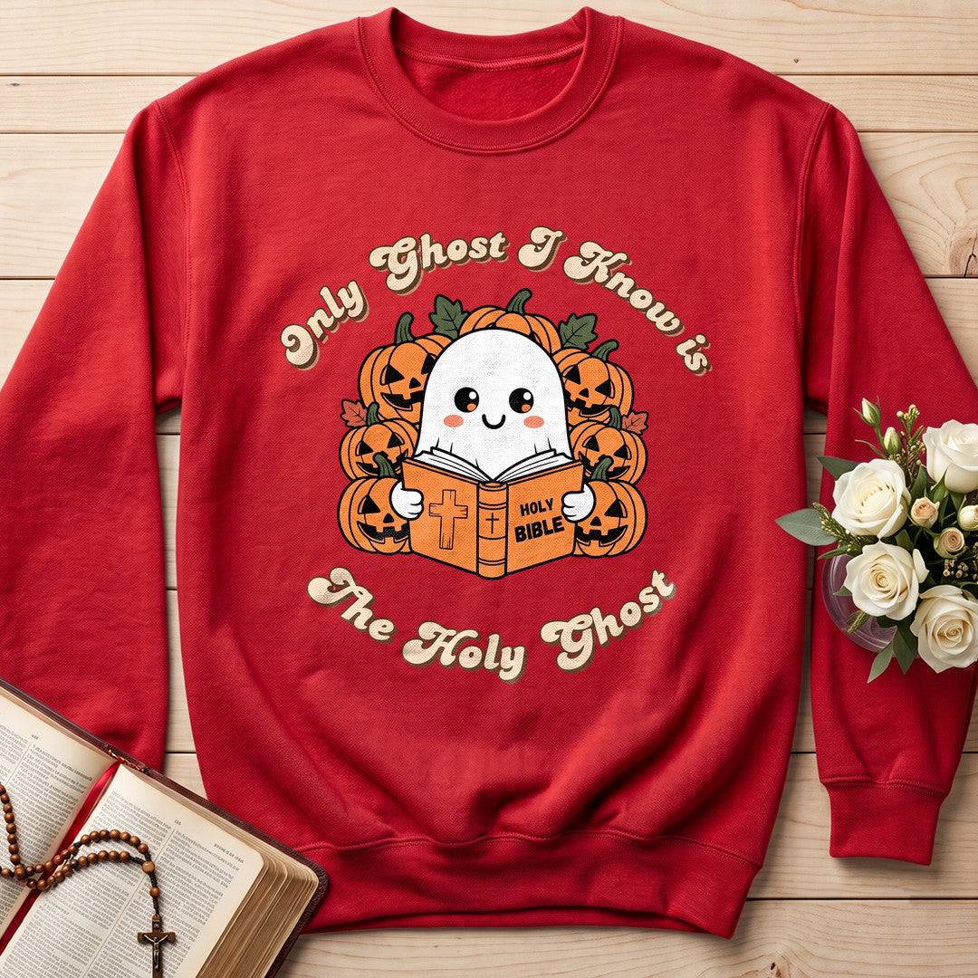 Only Ghost I Know Is The Holy Ghost 01