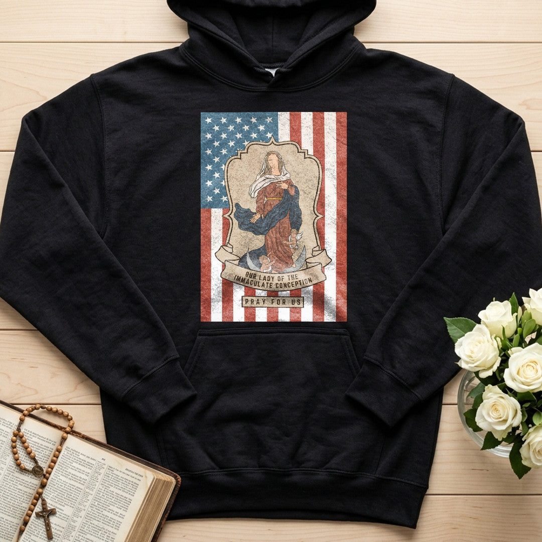 Our Lady Of The Immaculate Conception Pray For Us 01