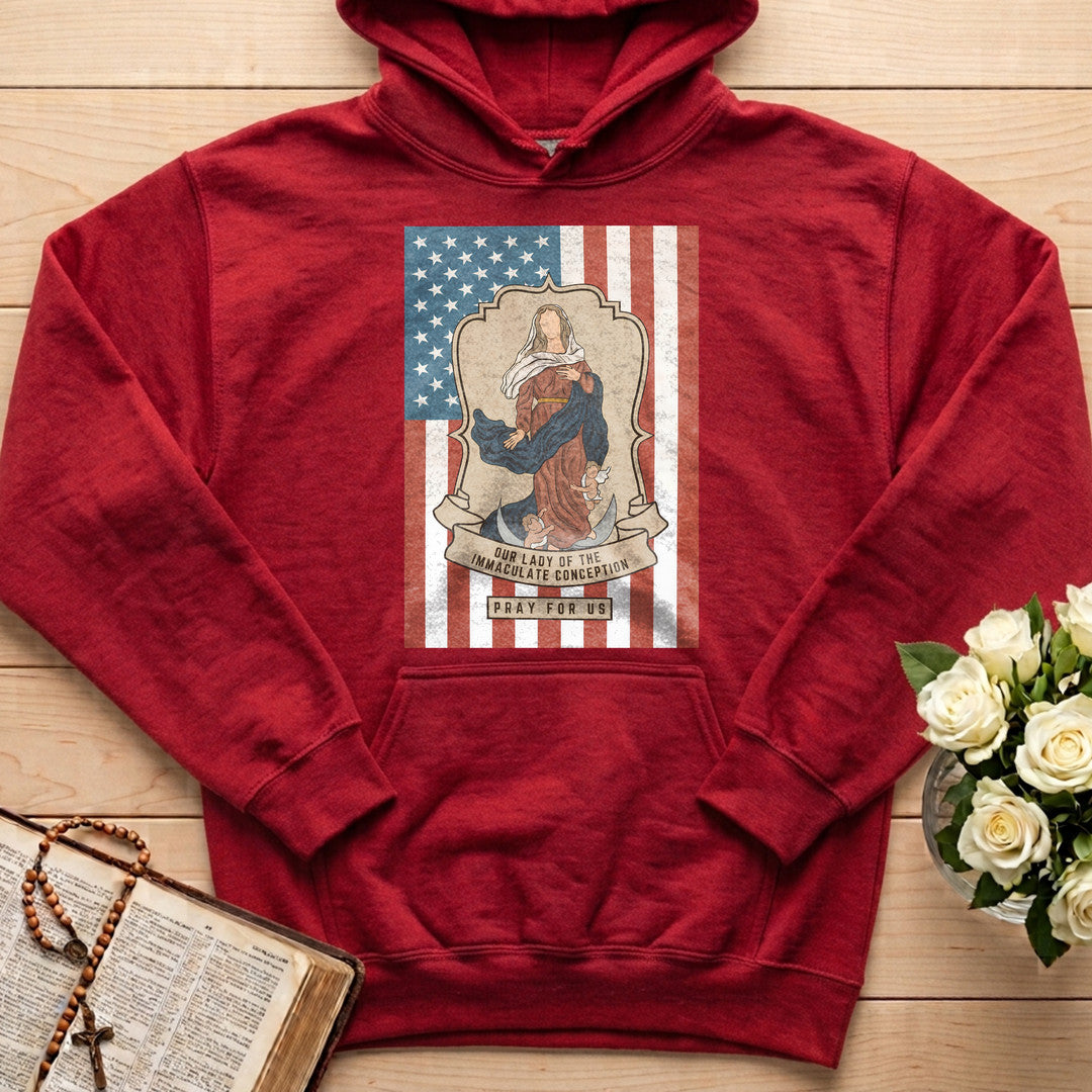 Our Lady Of The Immaculate Conception Pray For Us 01
