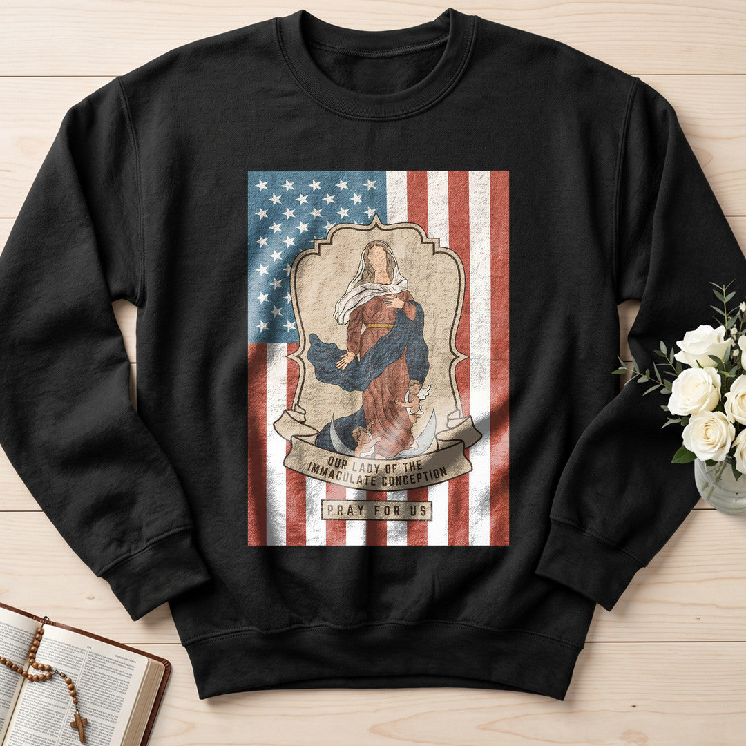 Our Lady Of The Immaculate Conception Pray For Us 01