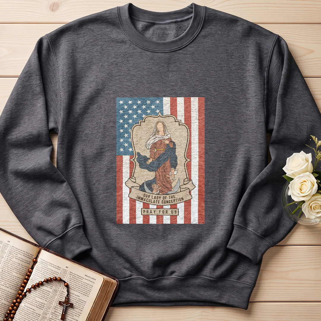 Our Lady Of The Immaculate Conception Pray For Us 01