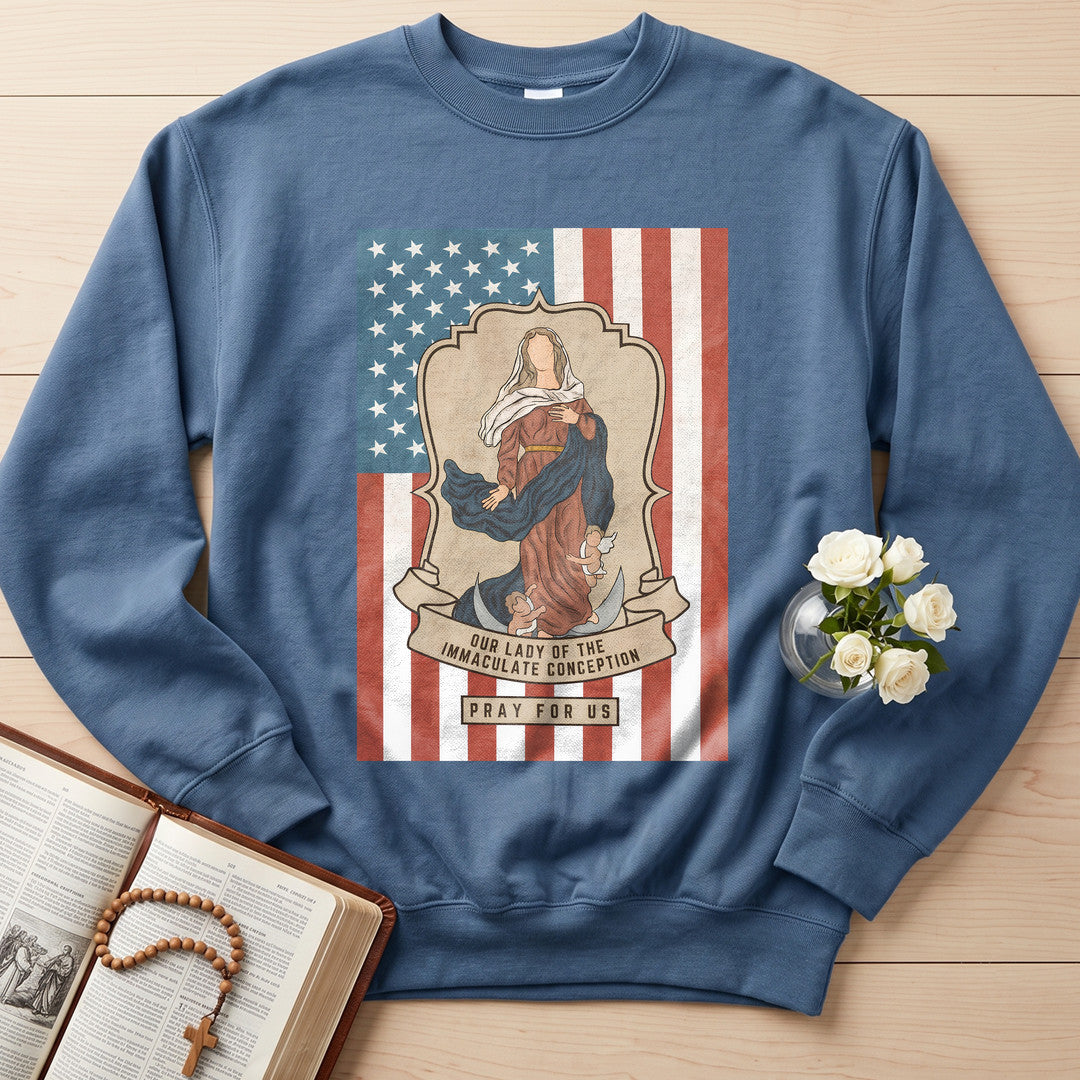 Our Lady Of The Immaculate Conception Pray For Us 01