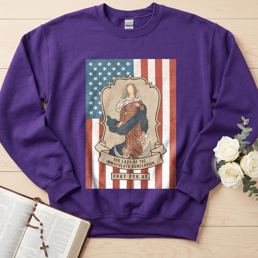 Our Lady Of The Immaculate Conception Pray For Us 01